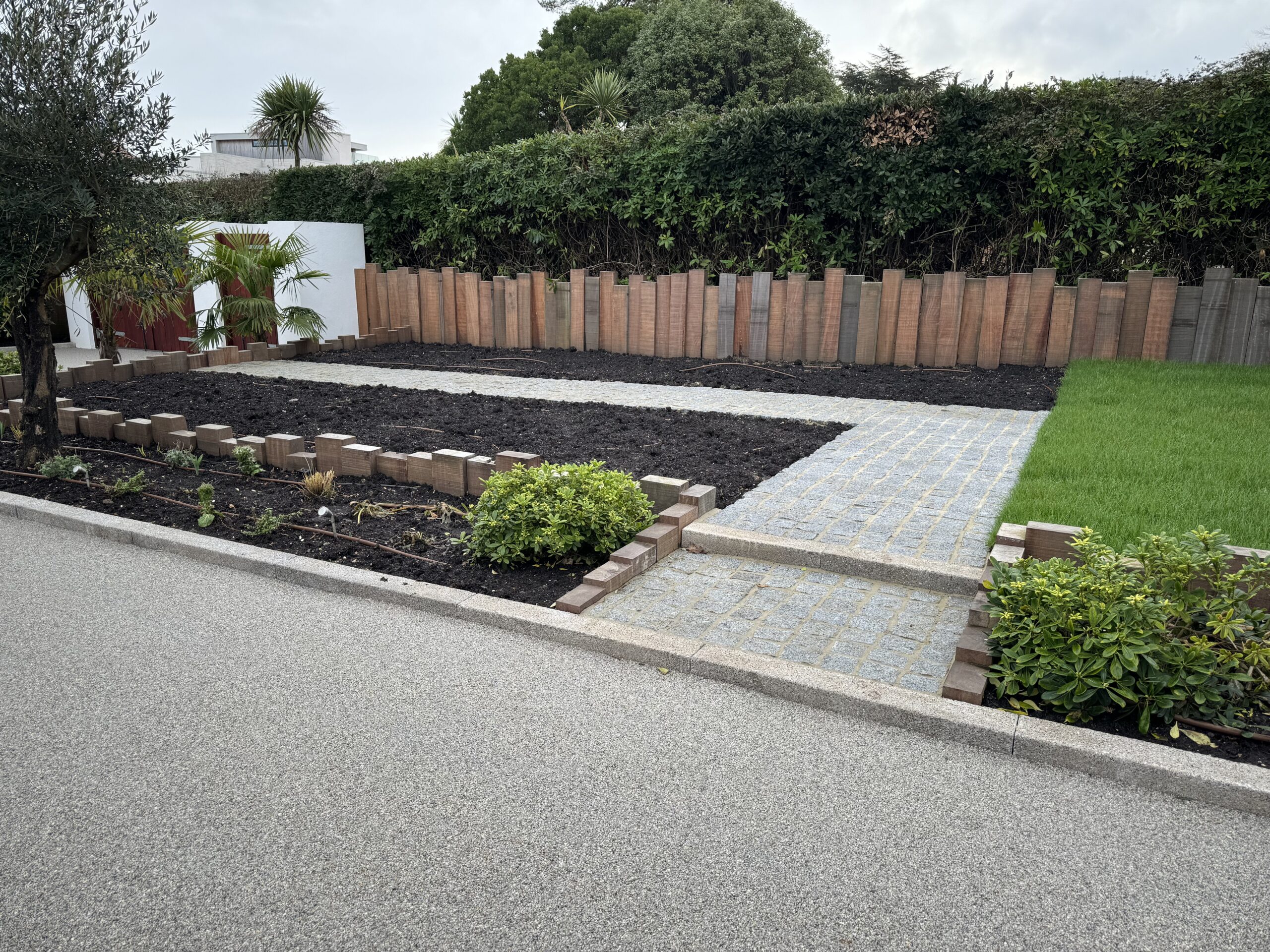 A newly completed area alongside the sea with a mixture of hard landscaping and borders with a variety of trees, bushes and flowers